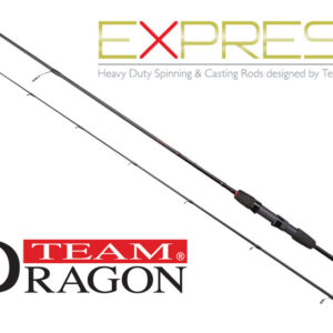 Express-spin Dragon Express Spinn